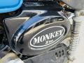 Picture of HONDA Z50 MONKEY 1979 BLUE - FULLY AUSTRALIAN COMPLIANT - CAN BE ROAD REGISTERED